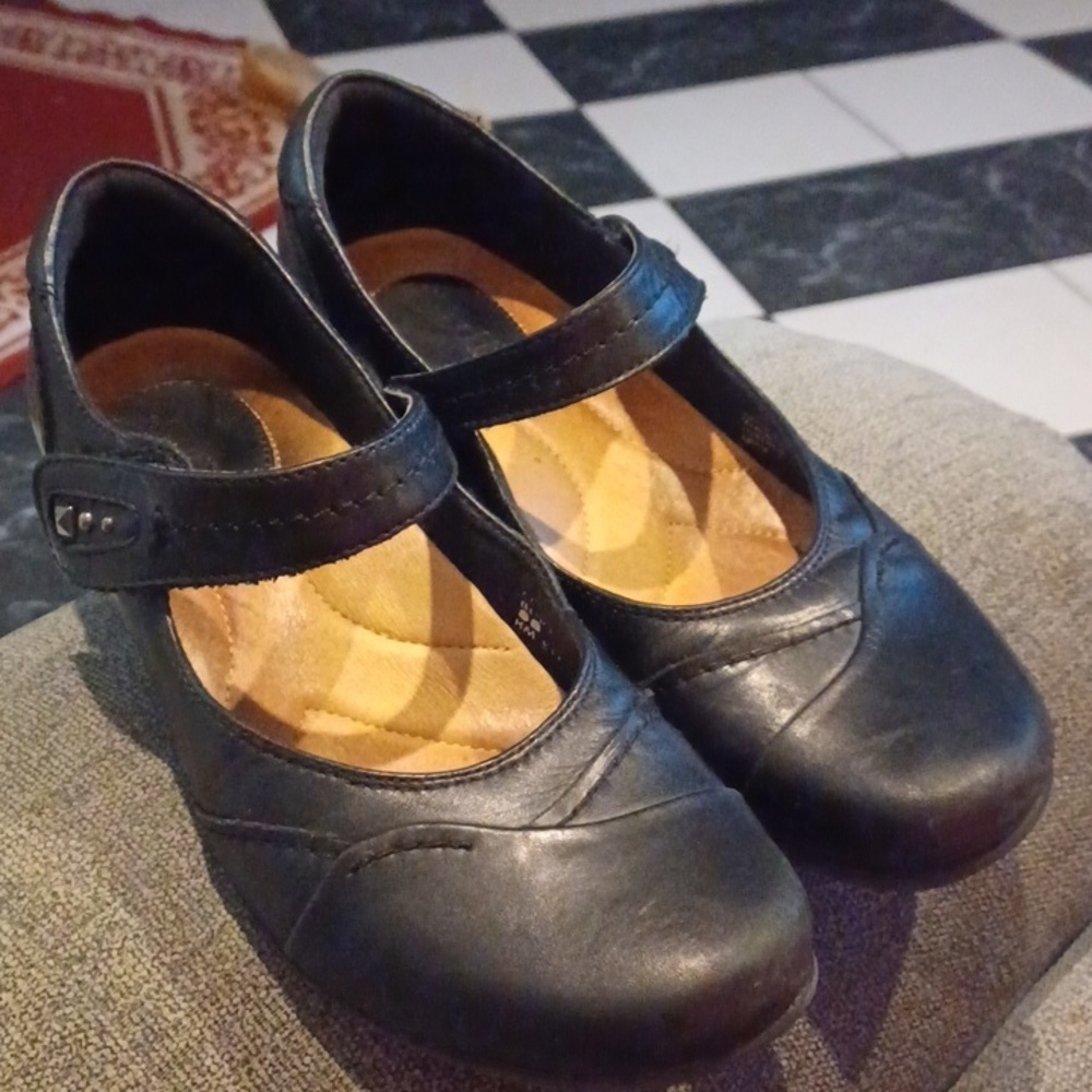 Earth Clover Mary Jane Leather Shoes, black, sz 8B